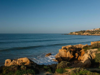 Monicca Collection Suites & Residences