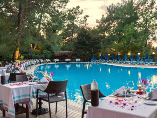 Montana Pine Resort