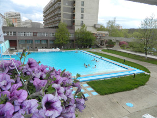 Mures