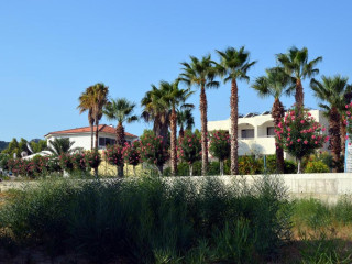 Muses hotel