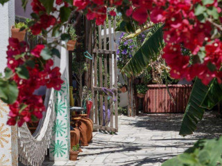Natural Mystic Hostel