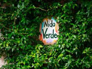 Nido Verde