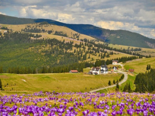 Nordul Olteniei si Manastirea Prislop