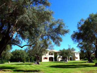 Olivastro Villa