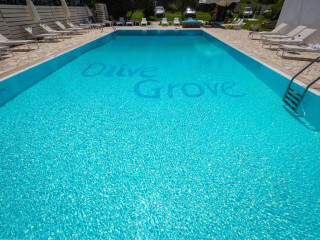 Olive Grove Resort 