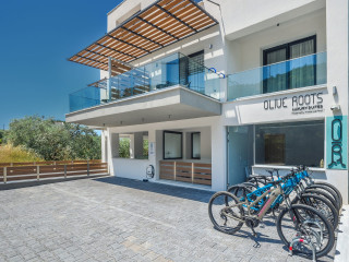 Olive Roots Luxury Suites