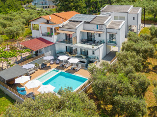 Olive Roots Thassos