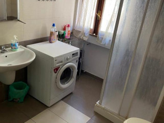 Olive Tree - Hostel