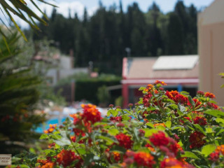 Olympion Village Hotel