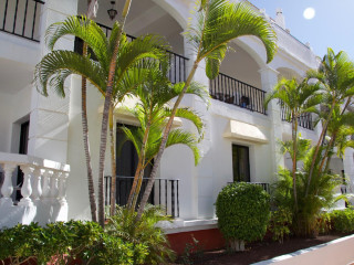 ONA HOLLYWOOD MIRAGE