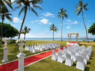 Hikka Tranz by Cinnamon