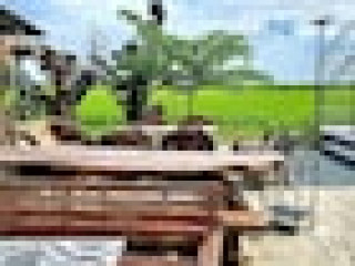 OYO 75511 Chai Na Resort