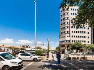 Palacio Avenida