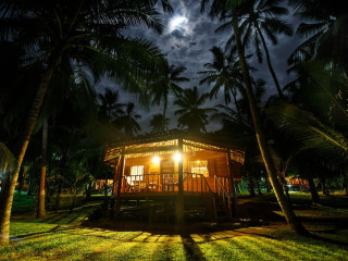 Palm Paradise Cabanas