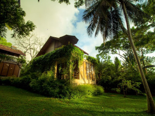 Palm Paradise Cabanas