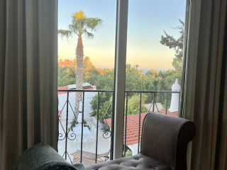 Palm View Guesthouse-Adults only