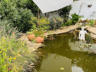 Palm View Guesthouse-Adults only