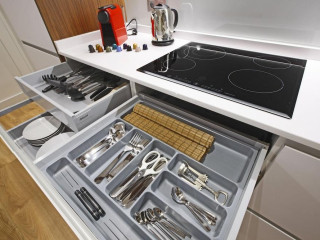 Paloma - Madflats Collection