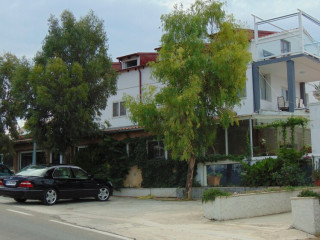 Cocoteros