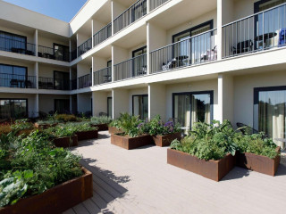 PARADISO GARDEN