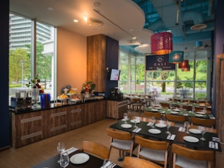 PARK AVENUE ROCHESTER