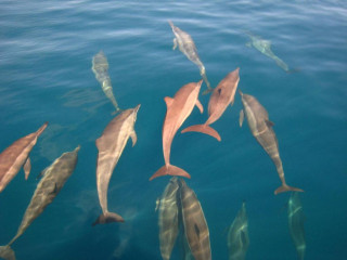 Park Hyatt Hadahaa Resort Maldives