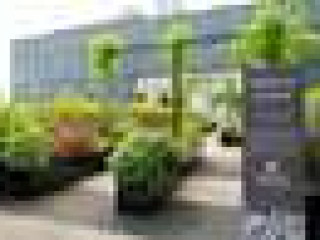 PARKROYAL COL Pickering