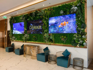 Pattaya Discovery Beach Hotel - SHA Extra Plus