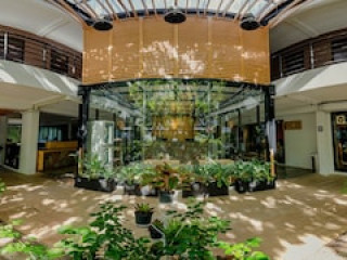 PEACE LAND KHAOSAN (SHA)