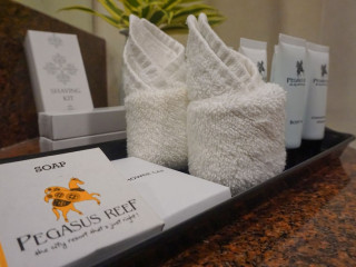 Pegasus Reef Hotel