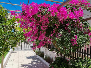 Pennystella Village Apartments