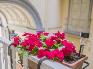 PER AMOR DUOMO