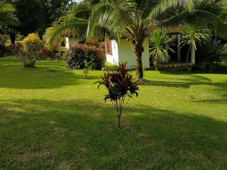 Phanom Bencha Mountain Resort