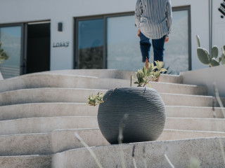 Pignolia Suites - Adults Only