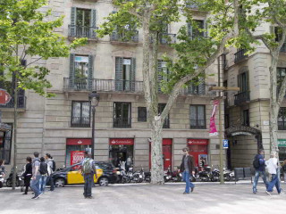 Pillow Ramblas