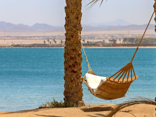 Palm Royale Soma Bay