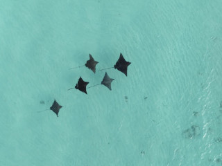 Constance Moofushi Maldives