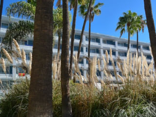 Playa Del Sol - Adults Only