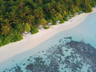 Plumeria Maldives