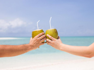 Plumeria Maldives