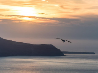 Patina Vivera Estate Santorini