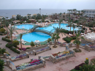 QUEEN SHARM