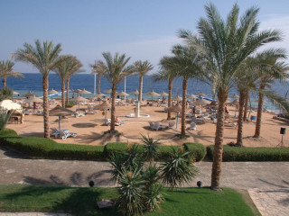 QUEEN SHARM