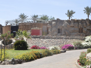 Queen Sharm Resort