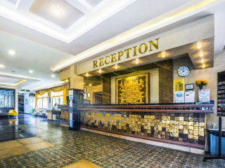 Kleopatra Royal Palm