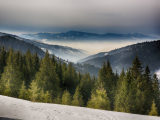 Revelion 2022 in Bucovina - Hotel Sandru