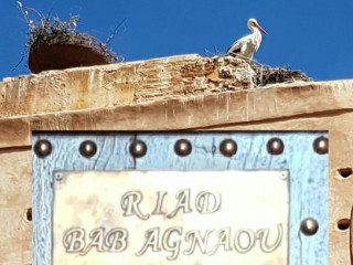 Riad Bab Agnaou