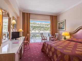 RODOS PALLADIUM