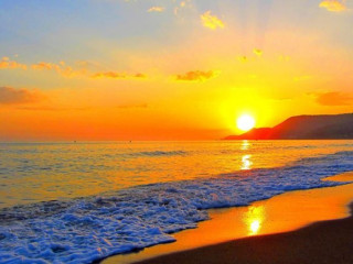 ROSE GARDEN APART HOTEL