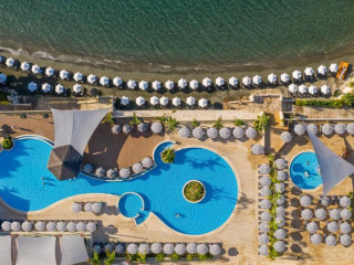 Royal Apollonia by Louis